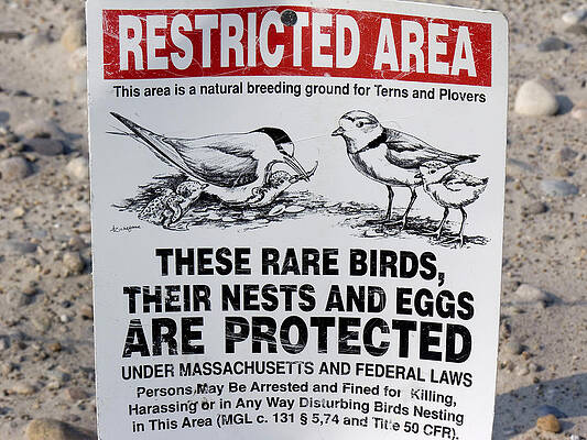 Wall Art - Photograph - Nesting Site Warning Sign by Eunice Harris