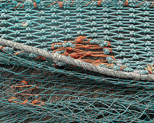 Network by Ben Freeman Network by Ben Freeman