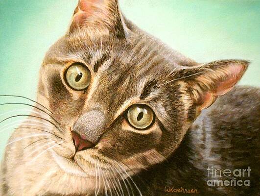 Curious Tabby Cat by Wendy Koehrsen Curious Tabby Cat by Wendy Koehrsen