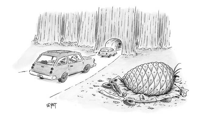 Wall Art - Drawing - New Yorker July 12th, 1999 by Christopher Weyant