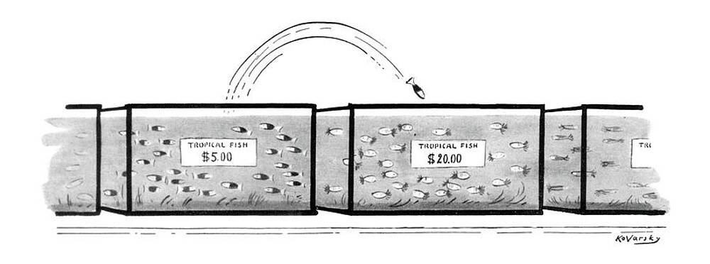 Wall Art - Drawing - New Yorker June 1st, 1957 by Anatol Kovarsky