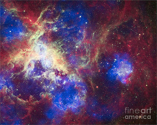Wall Art - Photograph - Ngc 2070, Tarantula Nebula, Composite by Science Source