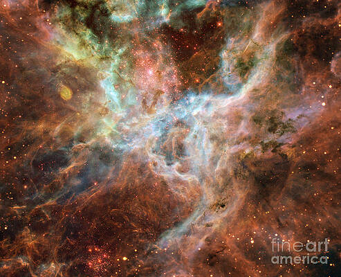 Wall Art - Photograph - Ngc 2070-Tarantula Nebula by Science Source