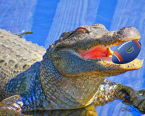 NICE CATCH by Dennis Dugan NICE CATCH by Dennis Dugan