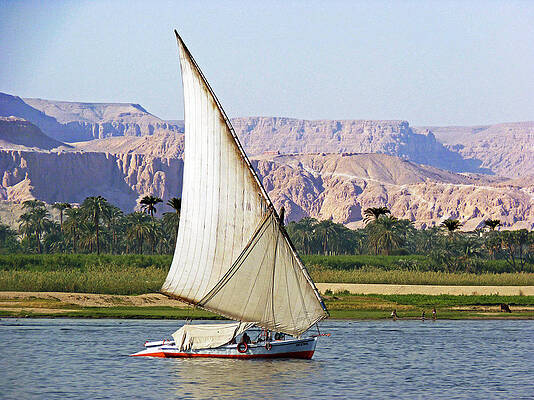 NILE RIVER SCENE by CARL SHEFFER NILE RIVER SCENE by CARL SHEFFER