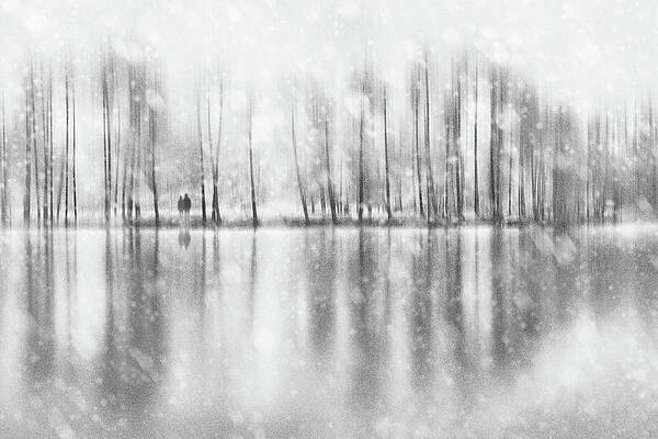 Wall Art - Photograph - No One Can Save Us by Gustav Davidsson