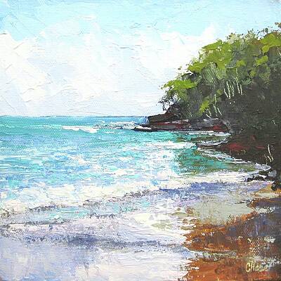 Noosa Heads Main Beach Queensland Australia by Chris Hobel Noosa Heads Main Beach Queensland Australia by Chris Hobel