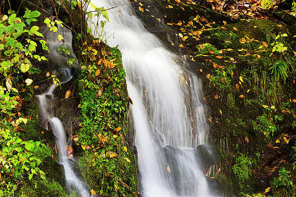 Wall Art - Photograph - North Carolina, Great Smoky Mountains by Jamie and Judy Wild
