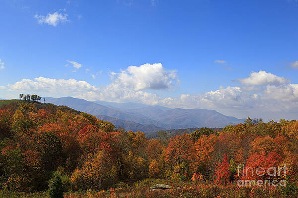 Wall Art - Photograph - North Carolina Mountains in the Fall by Jill Lang