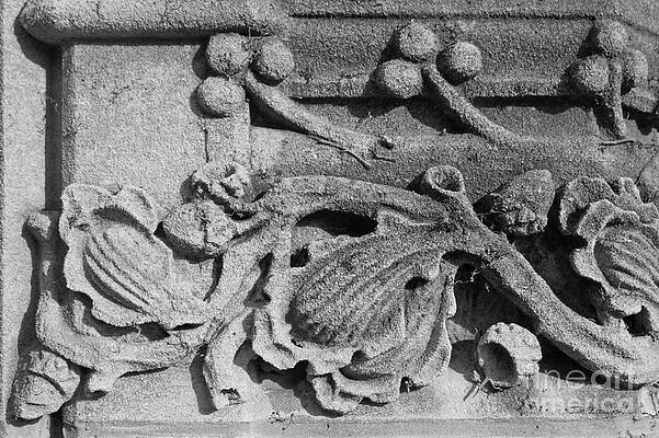 Wall Art - Photograph - Northwestern University Deering Library Stonework by University Icons