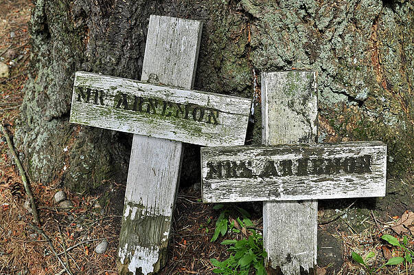 Wall Art - Photograph - Not Forgotten by Tikvah's Hope