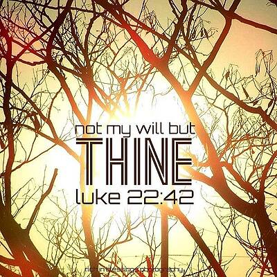 Wall Art - Photograph - ...not My Will, But Thine Be Done. by Traci Beeson
