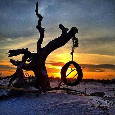 Wall Art - Photograph - Sunset Swing by Dan Fischer