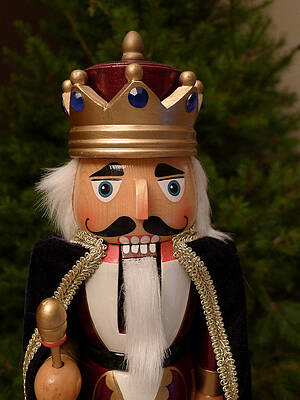 Wall Art - Photograph - Nutcracker King by Richard Reeve