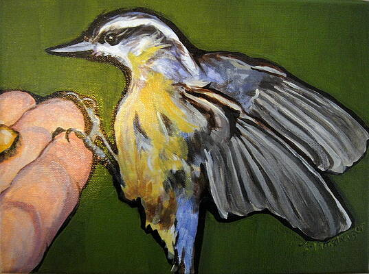 Nutty Nuthatch by Edith Hunsberger Nutty Nuthatch by Edith Hunsberger