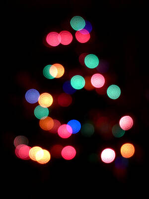 Wall Art - Photograph - O Bokeh Tree by Richard Reeve