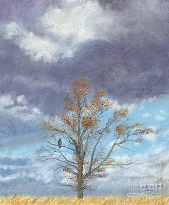 Oak and Clouds by Jymme Golden Oak and Clouds by Jymme Golden