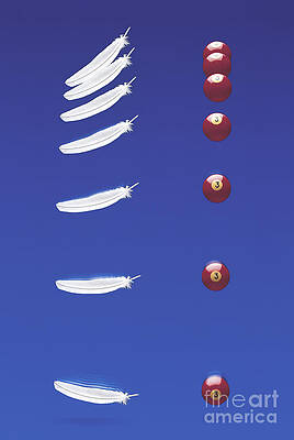 Wall Art - Photograph - Objects Falling At Same Rate by Erich Schrempp