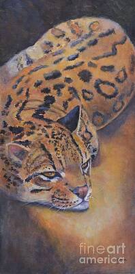 Ocelot by Jana Baker Ocelot by Jana Baker