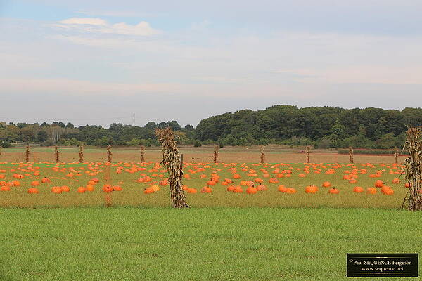 OCTOBER IS HERE 1 by Y C OCTOBER IS HERE 1 by Y C