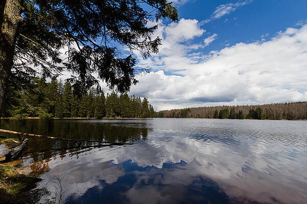 Wall Art - Photograph - Oderteich by Andreas Levi