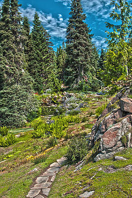 Ohme Gardens by Sonya Lang Ohme Gardens by Sonya Lang