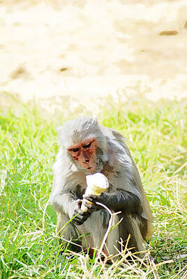 Oil Painting - A monkey eating an ice cream by Ashish Agarwal Oil Painting - A monkey eating an ice cream by Ashish Agarwal