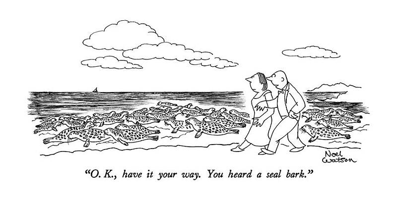 Wall Art - Drawing - O.k., Have It Your Way.  You Heard A Seal Bark by Noel Watso