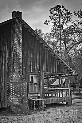 Okefenokee Home by Southern Photo Okefenokee Home by Southern Photo