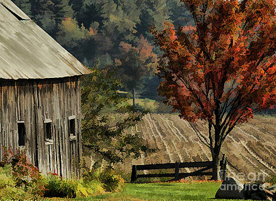  Photograph - Old Barn and Field by Kathleen Gauthier