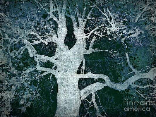 Wall Art - Photograph - Old Blue Tree by Patricia Strand