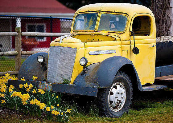 Wall Art - Photograph - Old Car 3 by Niels Nielsen
