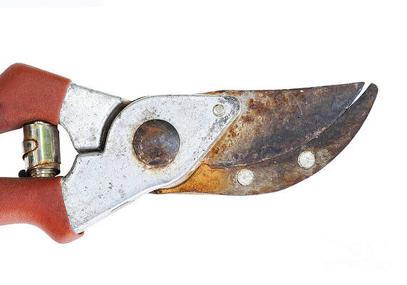 Wall Art - Photograph - Old Clippers by Michal Boubin