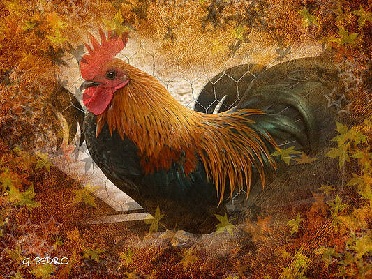 Old English Game Bantam in Autumn Colors by George Pedro Old English Game Bantam in Autumn Colors by George Pedro