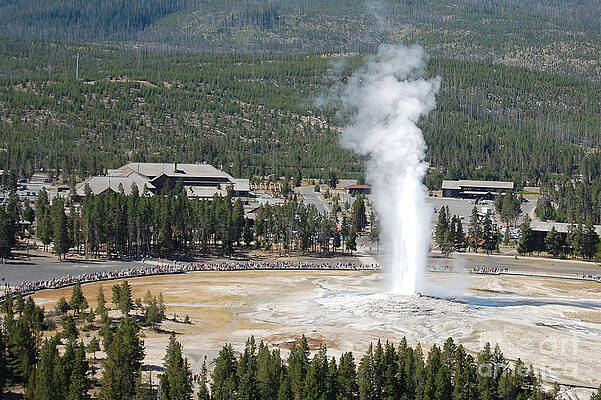 Old Faithful from Observation point by Susan Montgomery Old Faithful from Observation point by Susan Montgomery