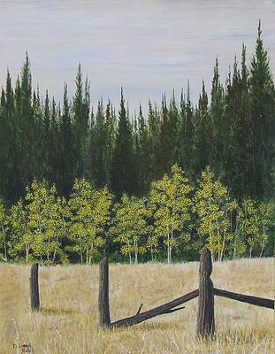 Old Fences by Dana Carroll Old Fences by Dana Carroll