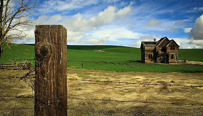Old House in the Meadow by Steve McKinzie Old House in the Meadow by Steve McKinzie