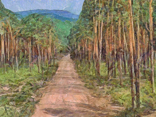 Wall Art - Digital Art - Old Logging Road by Digital Photographic Arts