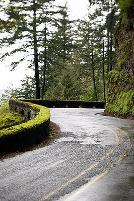 Wall Art - Photograph - Old Moss Covered Concrete Guard Rail by Corey Hendrickson
