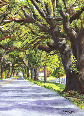Wall Art - Painting - Old Oak Tree by Elaine Hodges