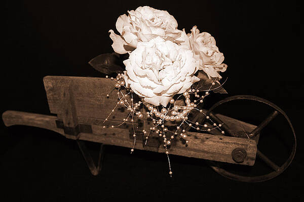 Back in Time by Tammy Garner