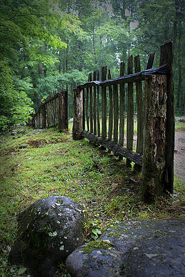 Wall Art - Photograph - Old Rustic Fence by Larry Bohlin