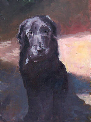 Old Soul by Sheila Wedegis Old Soul by Sheila Wedegis