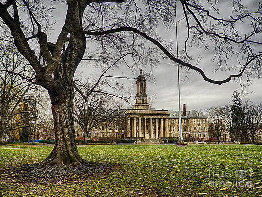 Wall Art - Photograph - Old Tree at Old Main by Mark Miller