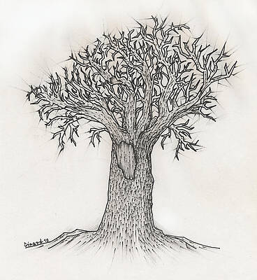  Drawing - Old Tree by Jason Girard