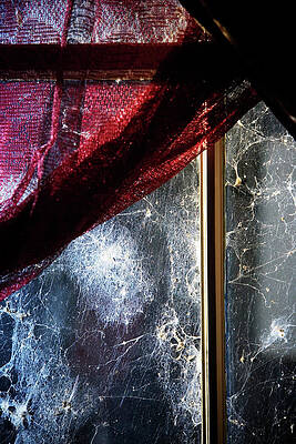 Wall Art - Photograph - Old Window, Red Drapes And Cobwebs by Ron Koeberer