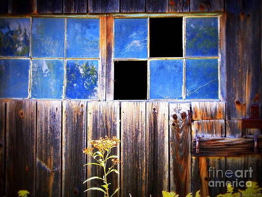Old Wooden Building of Broken Dreams by Deborah North