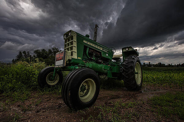 Oliver by Aaron J Groen Oliver by Aaron J Groen