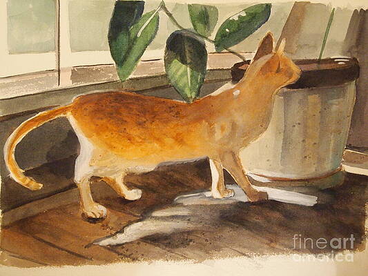 Oliver by Nancy Kane Chapman Oliver by Nancy Kane Chapman