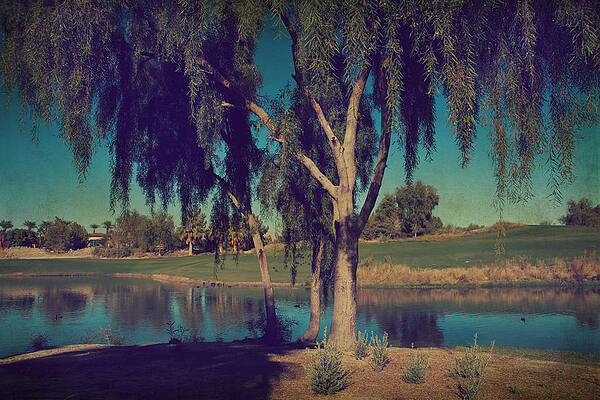 Wall Art - Photograph - On a Lazy Afternoon by Laurie Search